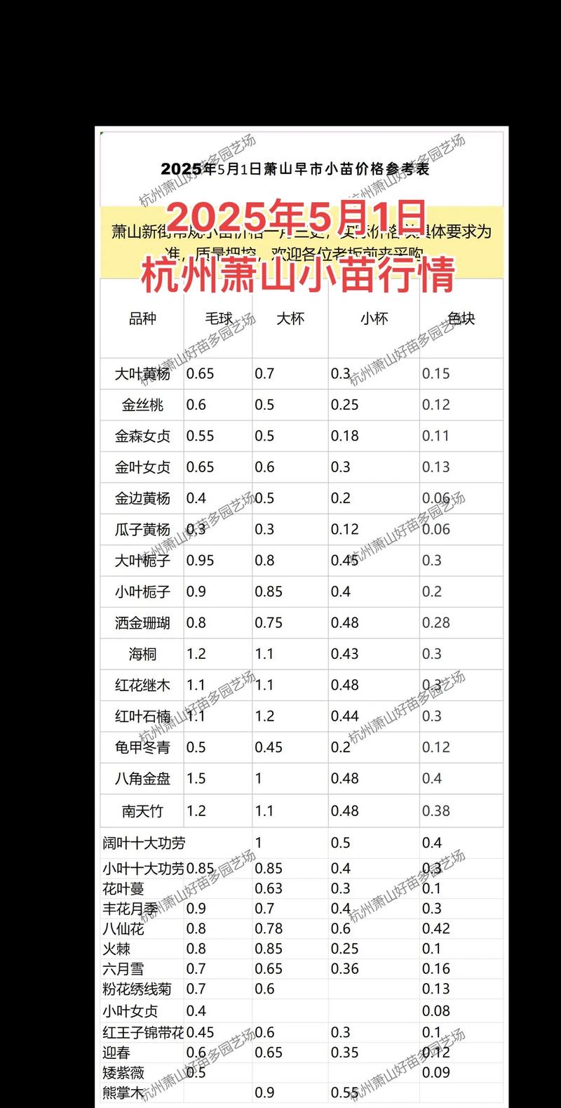 苗木基地：城市的绿肺与生命的摇篮
